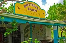 Entrance to the old The Butterfly Farm St Martin (closed)