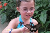 Ava and the Swallowtail by Karen Golding