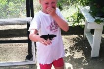 Olivia visits the Butterfly Farm, by Robert Ward