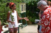 Guided tour, Aruba