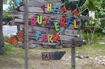 Driftwood sign, Aruba