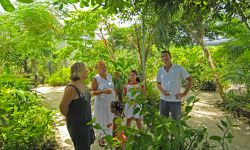 Visitors at the Butterfly Farm