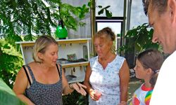 Visitors at the Butterfly Farm